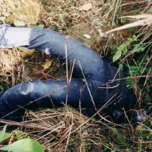 Image for article
