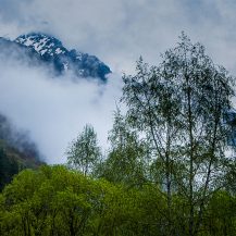 <p>A view of the trees and peaks near Rila Monastery. </p>