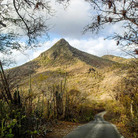 <p>A view en route to Christoffelberg, Curaçao's highest peak. While only 371 metres high, it is still something of a strenuous climb in the Caribbean heat.</p>