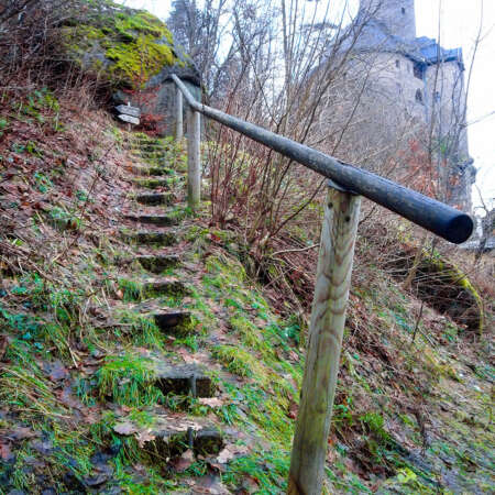 <p>An inviting trail.<br /></p>