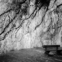 <p>Low-hanging branches and leaves form a quiet chamber in the St.-Elisabeth-Kirchhof, a cemetery in Berlin. </p>
