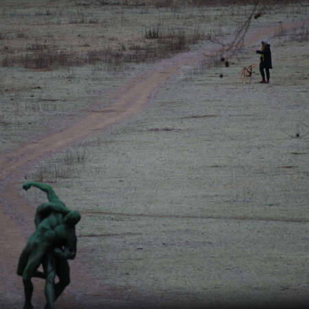 <p>A woman walks her dog on a frosty morning.</p>