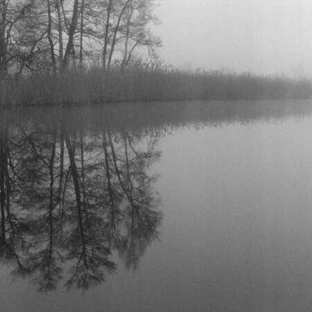 <p>Early morning fog on Papillensee, a small lake.</p>