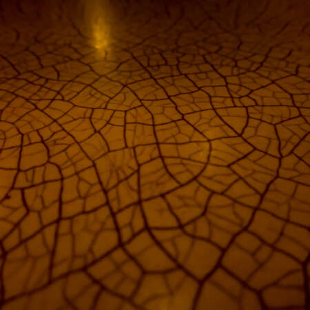 <p>A formica (or similar synthetic) table run through with forms from nature. </p>