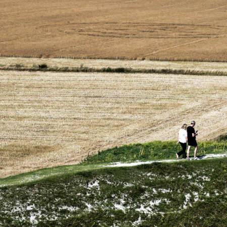 <p>Fields of varying patterns (and crop circles?!) near Stonehenge. </p>