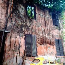 <p>Vines and a tree gradually reclaim a colonial era building in Jakarta's historic core.</p>