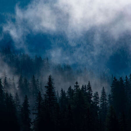 <p>Trees peek through the mist in Val di Funes – a great welcome for a day of hiking!<br /></p>