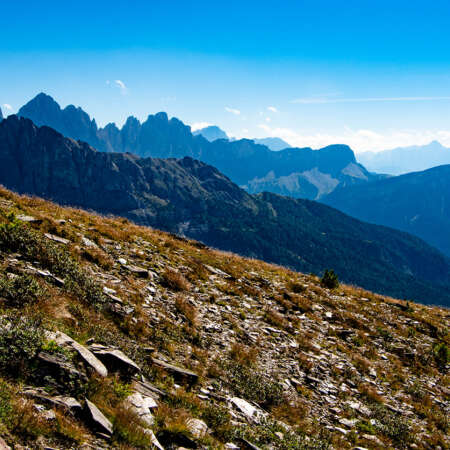 <p>From a narrow trail, a view southward toward the Odle group of peaks and beyond.</p>
