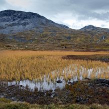 <p>Gentle peaks reflect in a reedy lake.<br /></p>