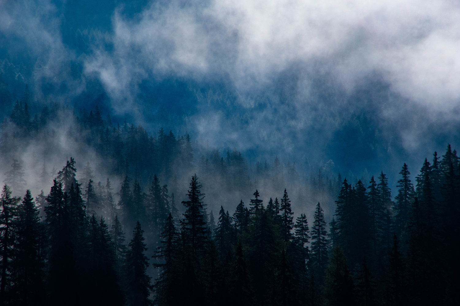 <p>Trees peek through the mist in Val di Funes – a great welcome for a day of hiking!<br /></p>
